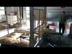 স্বয়ংক্রিয় সমতলকরণ এবং প্যালেটাইজিং মেশিন, নিম্ন স্তরের প্যালেটাইজার